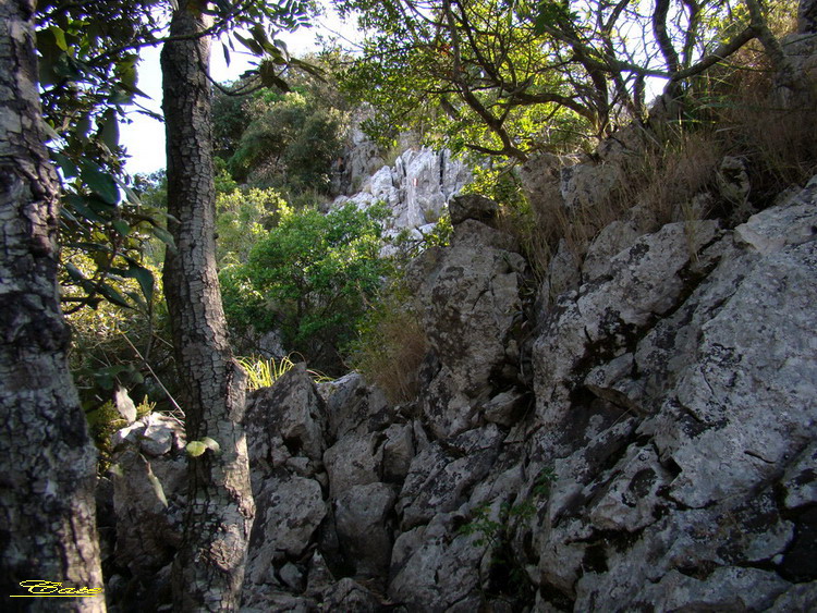 Alla conquista della vetta di Monte Circeo